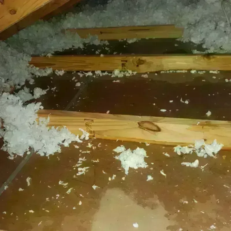 Attic Water Damage in Huntingburg, IN